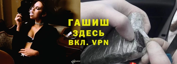 сатива Абинск