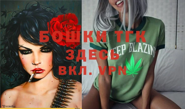 сатива Абинск