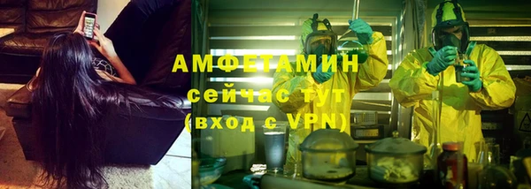 сатива Абинск